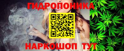 индика Кунгур