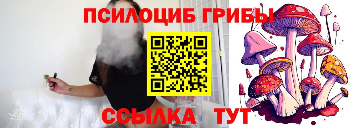 Галлюциногенные грибы Cubensis  Вход с VPN  наркошоп  Шадринск 